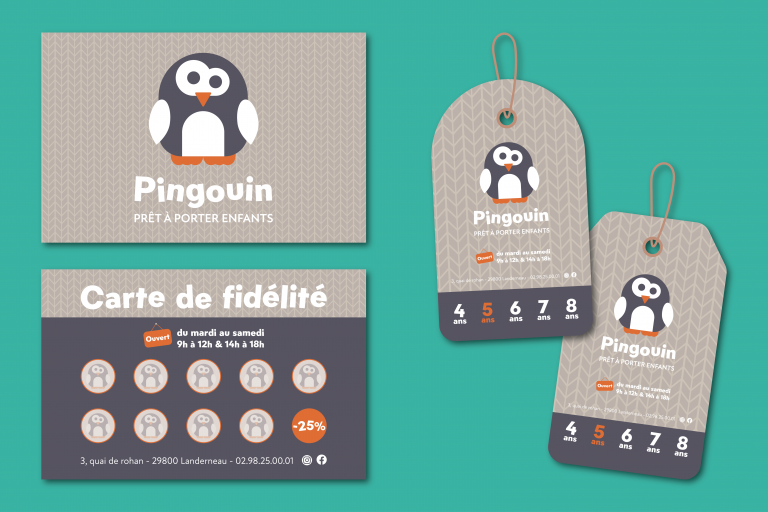 pingouin_image